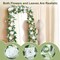 Full Pretty White Rose Garland, 6.2FT Artificial Floral Vines Spring White Flower Garland for Wedding Arch Table Centerpiece Decor Home Backdrop Wall Valentines Decoration